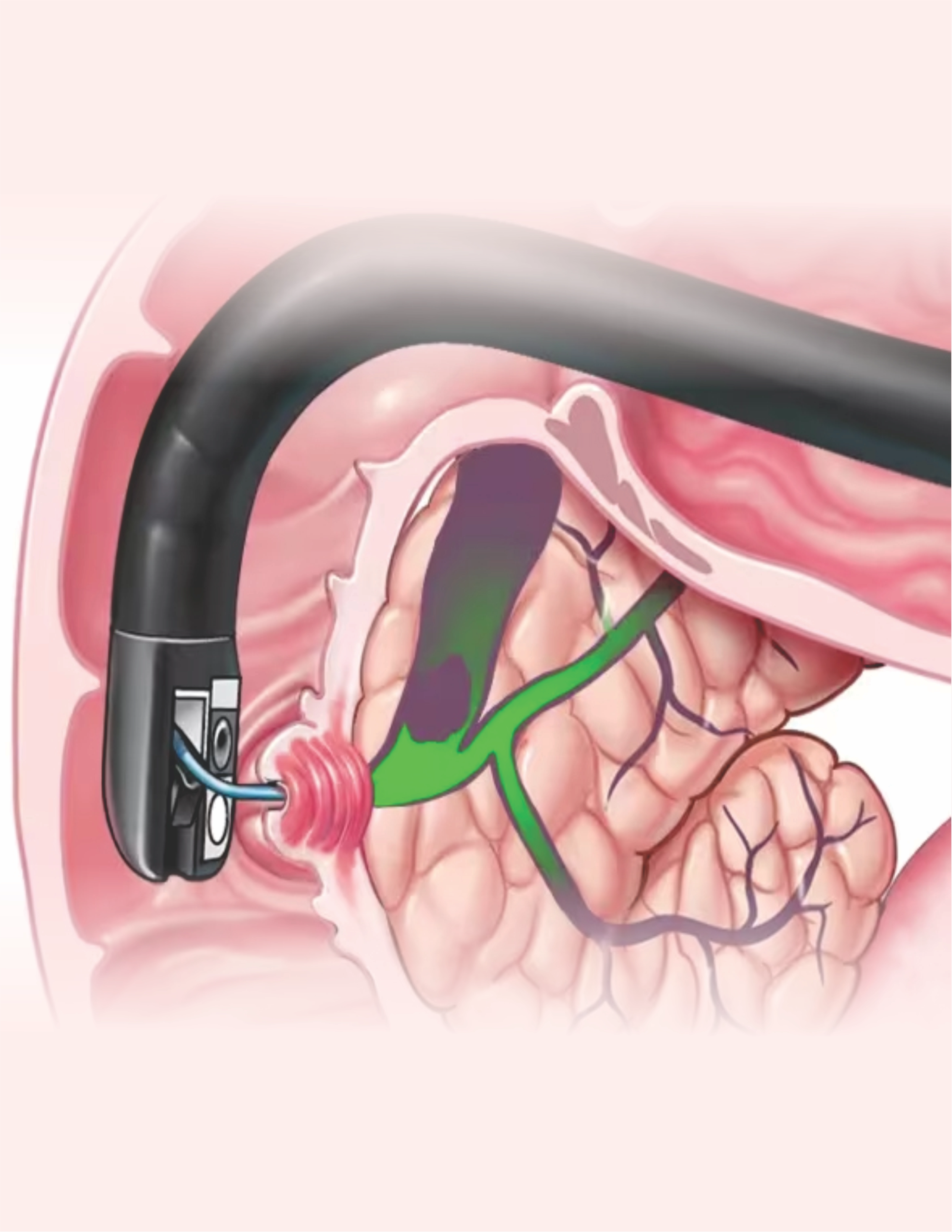Treatments and procedures imagery